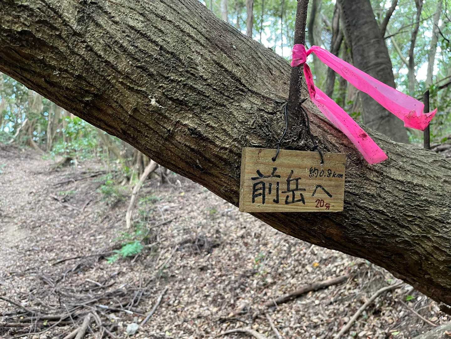 玉名駅でトシさんに拾って頂き🚗登山口へ
