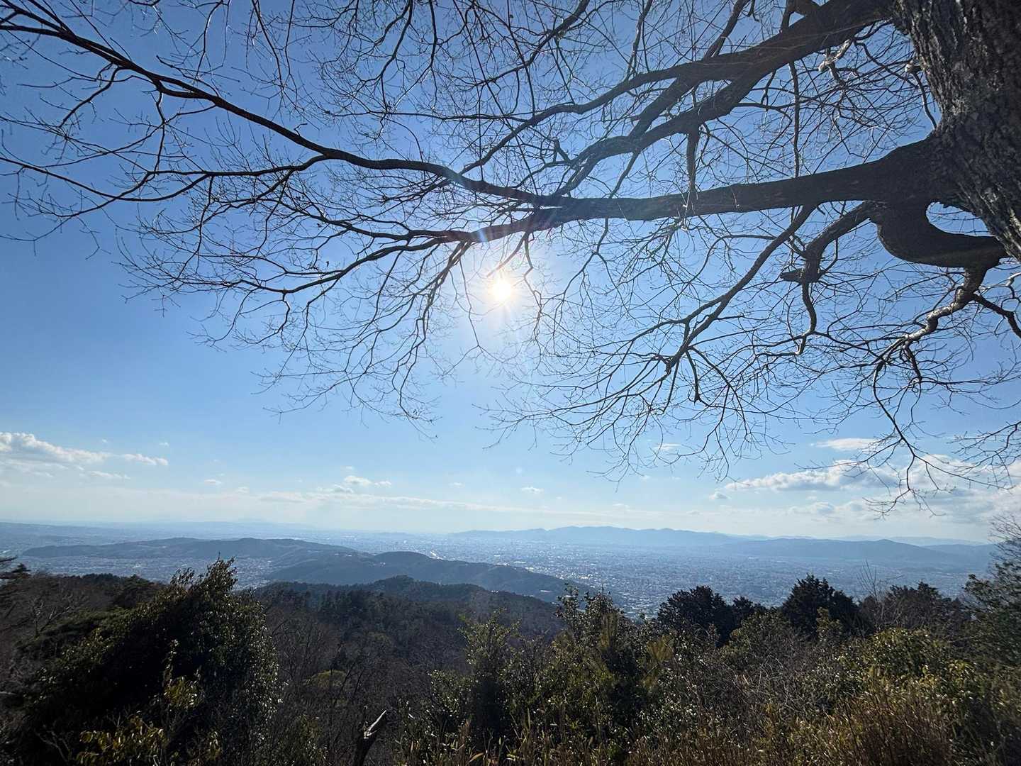 山科駅-大文字山-八神社登山口 縦走コースの写真