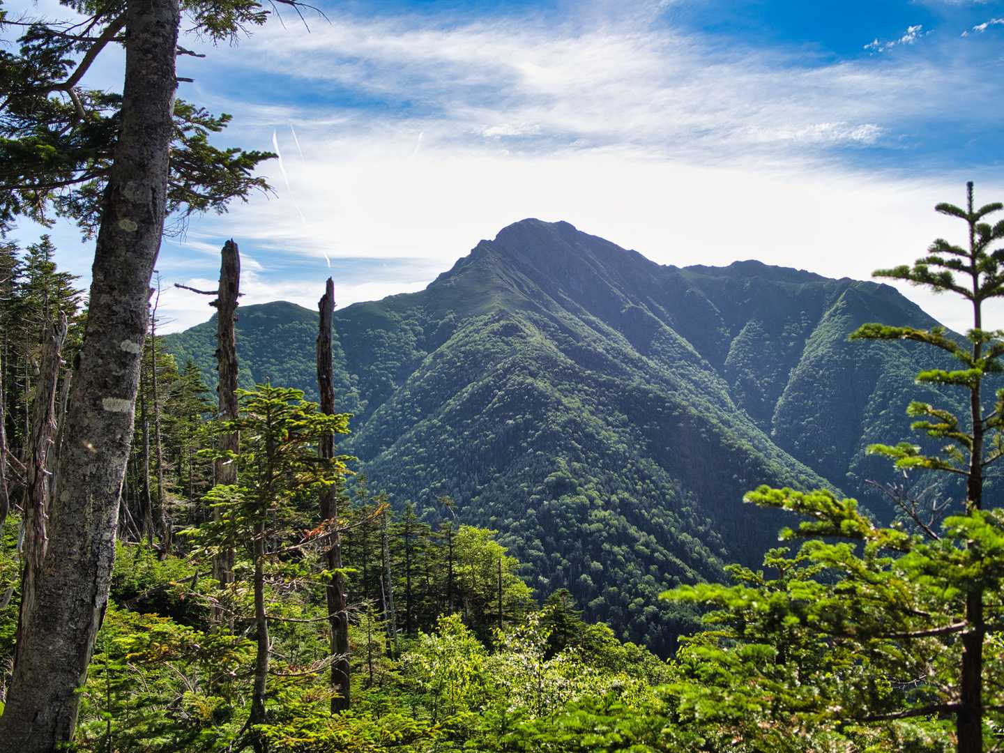 本谷山-三伏山-三伏峠-鳥倉登山口 縦走コースの写真