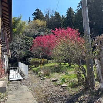 正規ルートに復帰
おつかれ山！