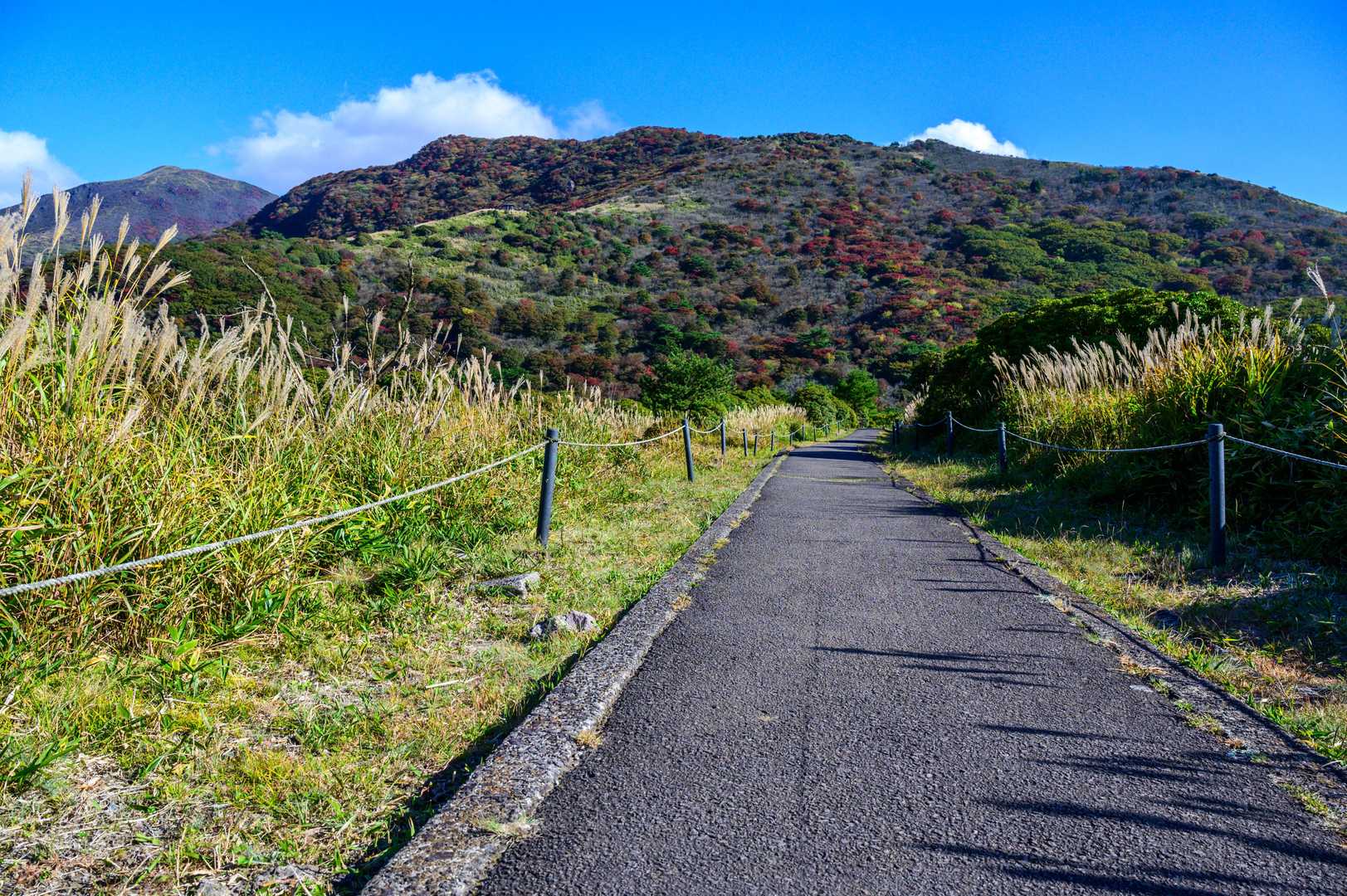 沓掛山　🍁