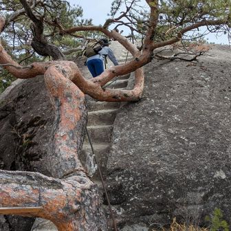 木と一枚岩に挟まれそうになりながら…
