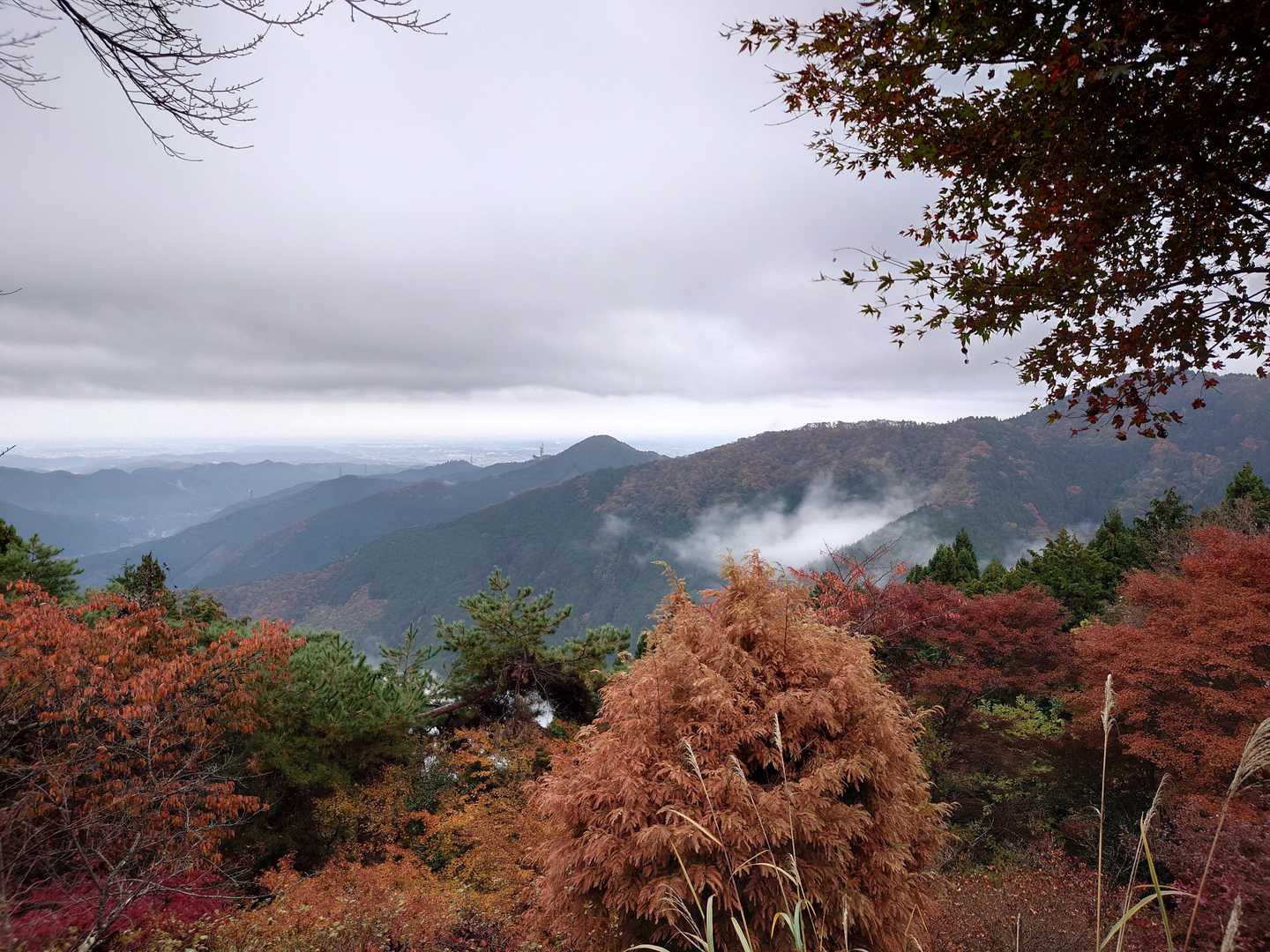 滝本駅-御嶽神社-御岳山 往復コースの写真