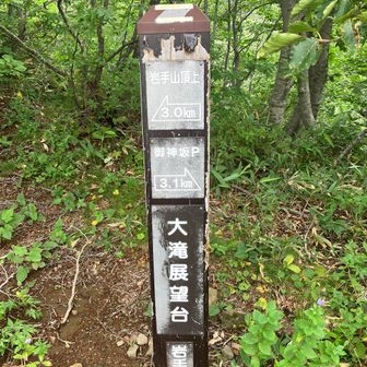 大滝展望台
ここで中間くらいかな⛰️