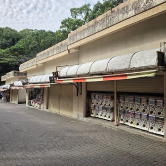 お店は2つだけ開いてた