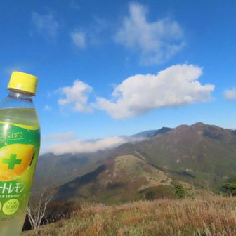 あ〜きついなぁ…と思いだした頃に山頂
まだ下るの……と思った頃に上りの
ちょうどいい感じの山でした

と、今なら言えますが🤭
まだかーいっっ の連続でした

飲まないかと思っていた3本目ドリンク🍋