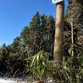 雲一つない最高の天気☀️