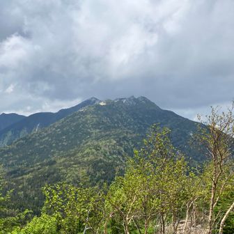 鳳凰三山
ガスってきちゃったけど、晴れたら辻山からの景色はかなり良さそう