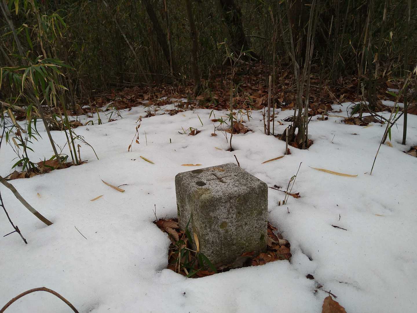 狐郷山の山頂到着