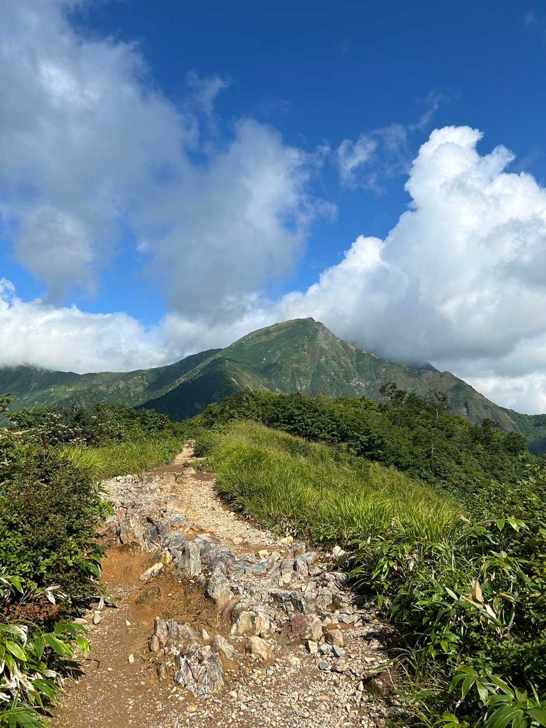 天神峠-熊穴沢ノ頭-登山入口-天神平駅 縦走コースの写真