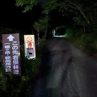 林道へ。先行者は少なからずいる様子、暗くても安心。