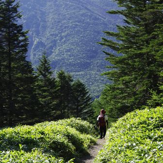 蓼科山方向へ。しばらくはスイスイと。