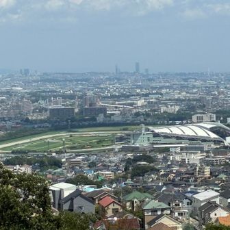 阪神競馬場が‼️