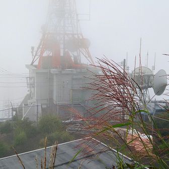 UMKテレビ塔の向こうに見えるはずの宮崎平野はガスの中です🤣