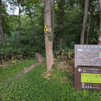 鳥のさえずりを聞きながら遊歩道を進みます