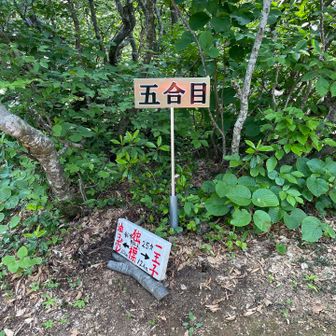 やっと半分