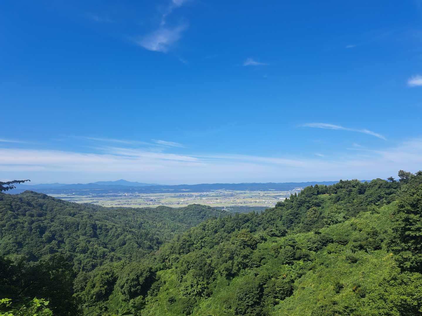 三ノ峠山 往復コースの写真