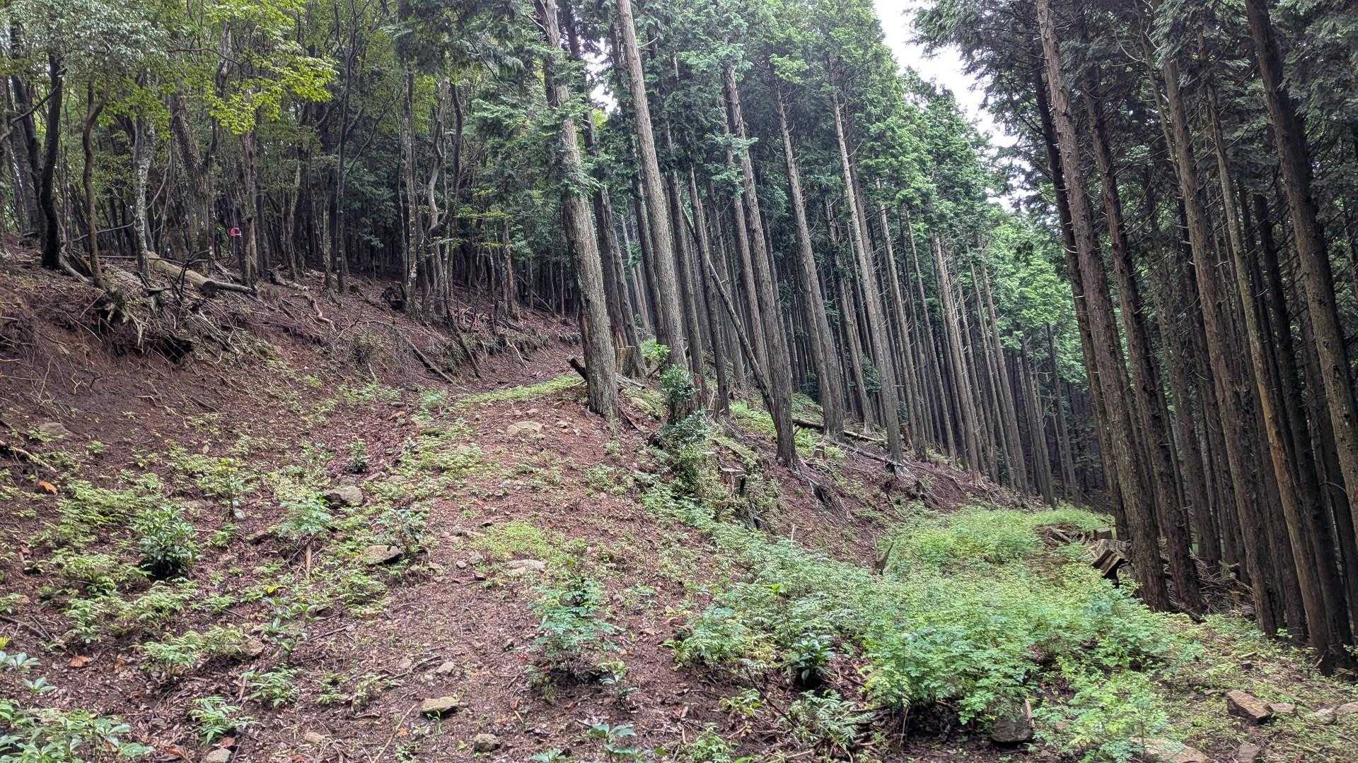 振り返る