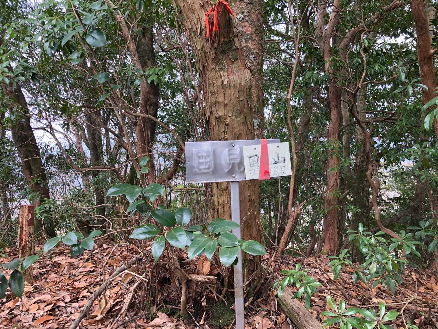 国見山ですが残念ながら展望は開けず😓