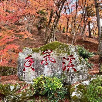 🍁香嵐渓🍁