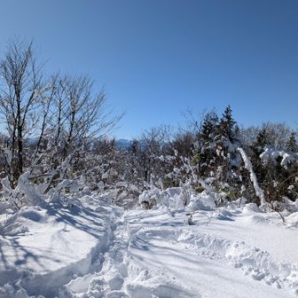今日、高落場山へ行ってきた
アニマルトレースをたどって1部先頭歩いた✨️
最高すぎる✨️
今シーズンはこれにて終了
来シーズンもよろしく
一緒してくれたメンバーTHANKS!