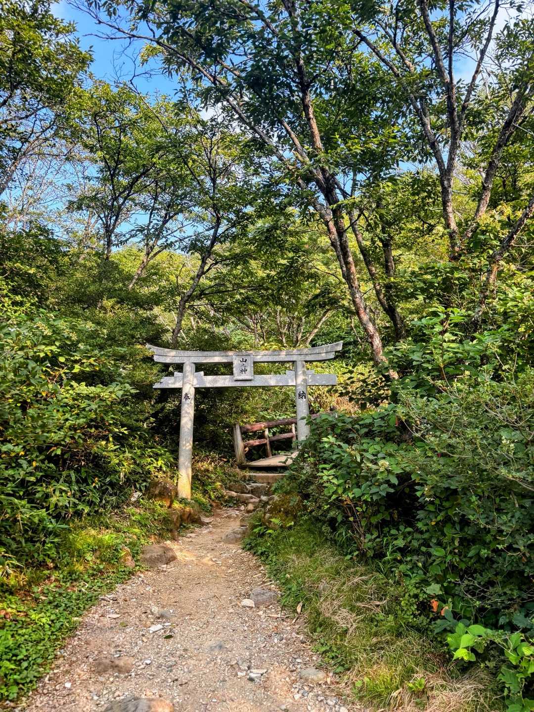 今回も鳥居から始まるという、これは下山メシに鶏肉を選ぶという布石だという予感しかなく、唐揚げというのがあまり好きではなく、焼き鳥っても室蘭生まれとしてやきとりは豚肉でしょ、精肉でしょ、ってのがあるからとか、ま別に鶏肉じゃなくても、気にしないかという気持ちで首を垂れて神域にはいった。