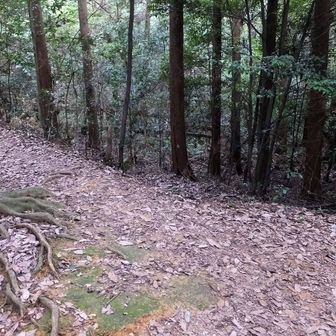 左奥は前回豊公廟から出てきた点線の道