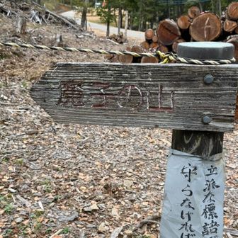魔子の山
どうやら、金が盛んに採掘されていた場所で山中の洞窟に一般の人がみだりに立ち入らないよう、あえて「魔の山」として恐れさせたことが名前の由来だとか
地元には、この山にある「魔子の人穴」という洞窟に家畜や赤ん坊をさらう巨大な怪人「魔子爺」が住んでいたという昔話が残っているそうな
おっかねぇ〜😱