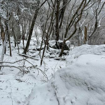 その方と色々話しながら歩く
年末年始の長期休みにテント、車中泊しながら大峰を周ってるらしい。
大峰loversの方でした😊