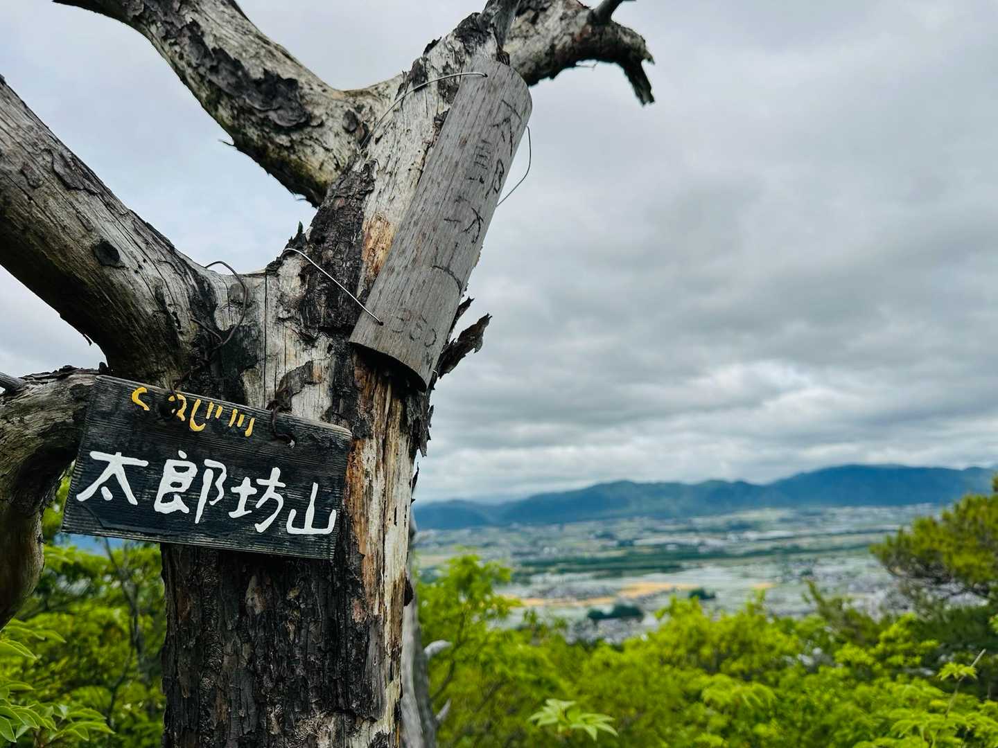 阿賀神社-太郎坊山 往復コースの写真