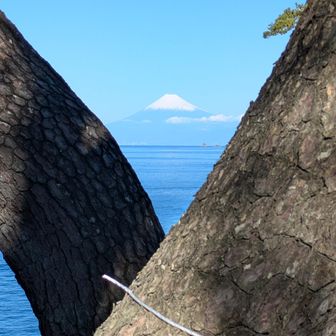 2025年最後の股ぐら富士をやろうと思ったけど根性がなさ過ぎてブイの木に頼りました😓
ブイノ富士です🗻