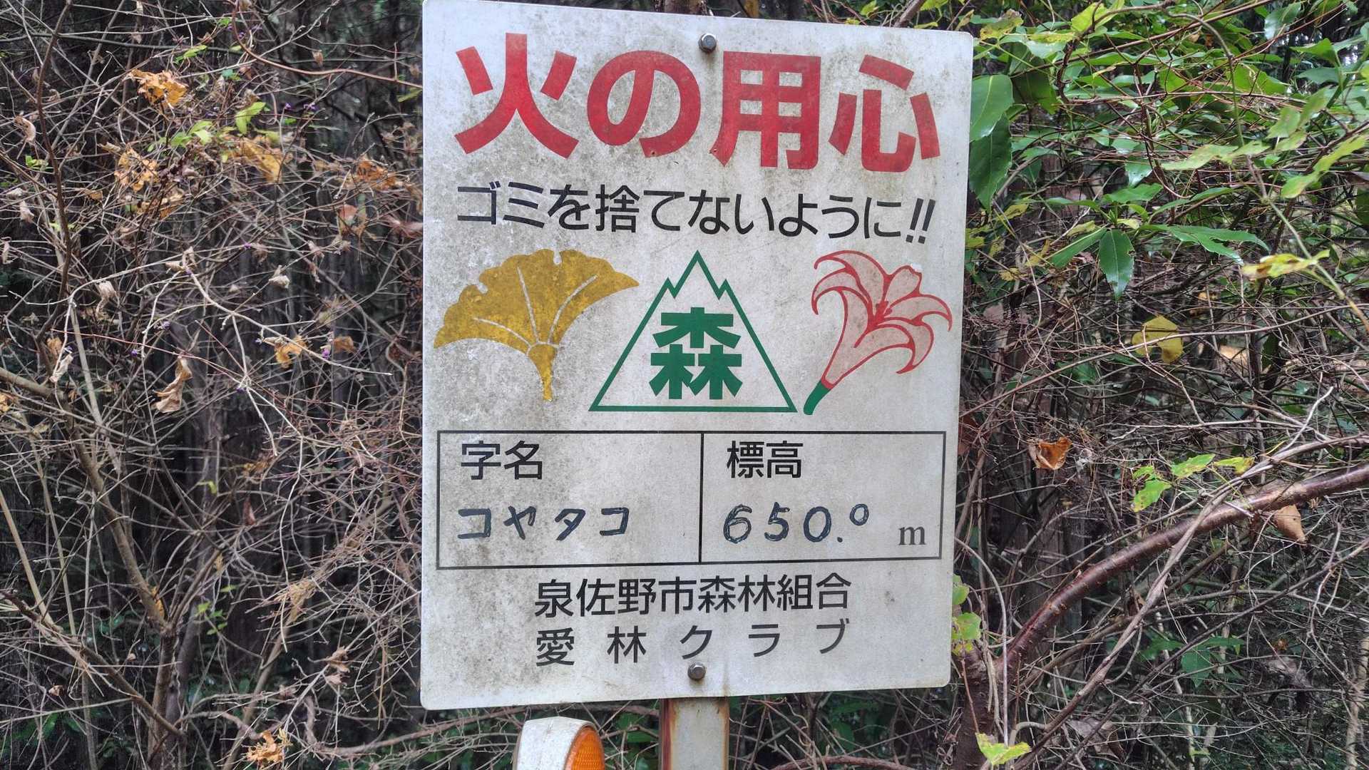 字名コヤタコ　
ここの地名…ですかね？