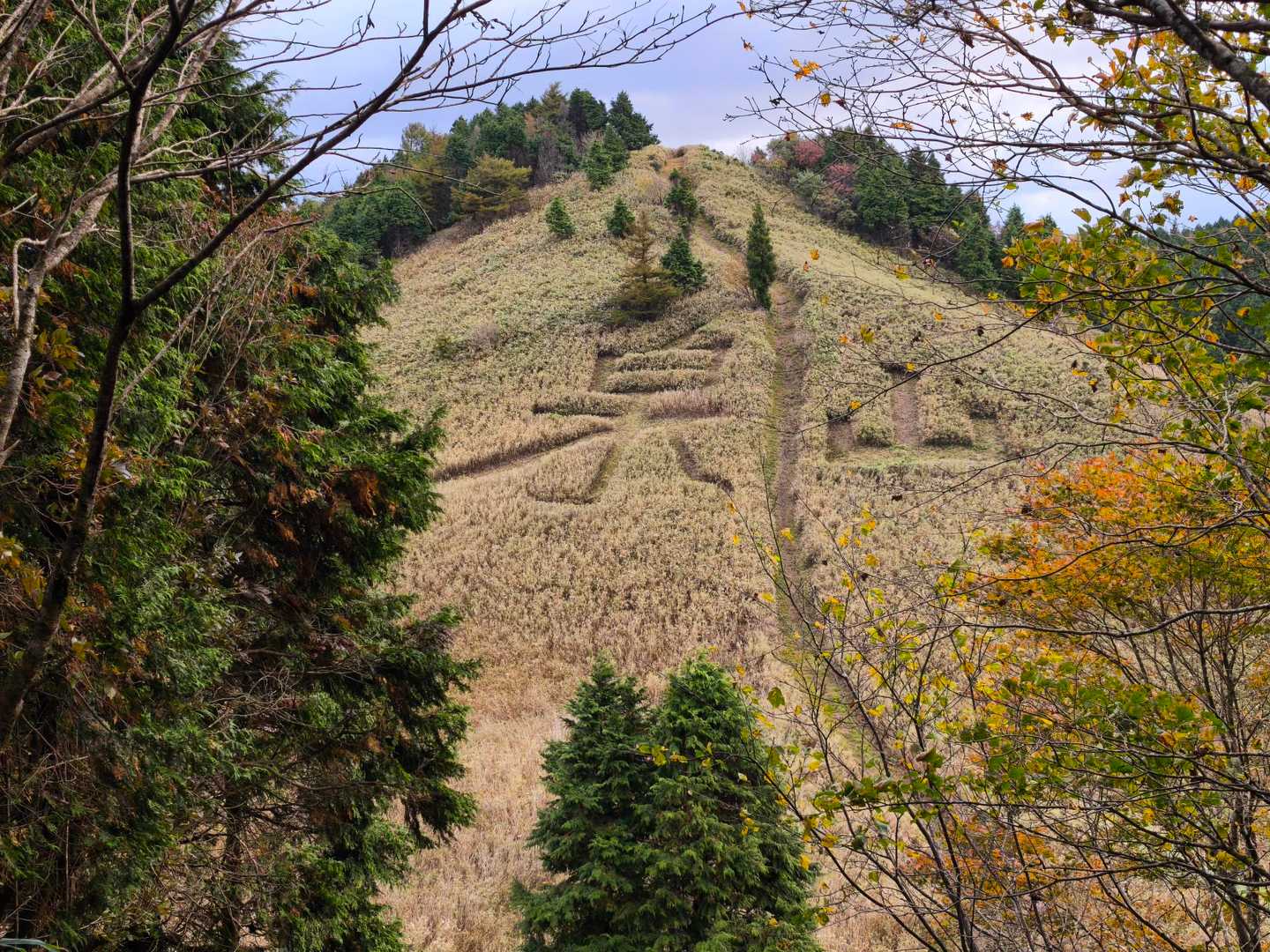 往路の「泉山」
実際に見れて嬉しい☺️