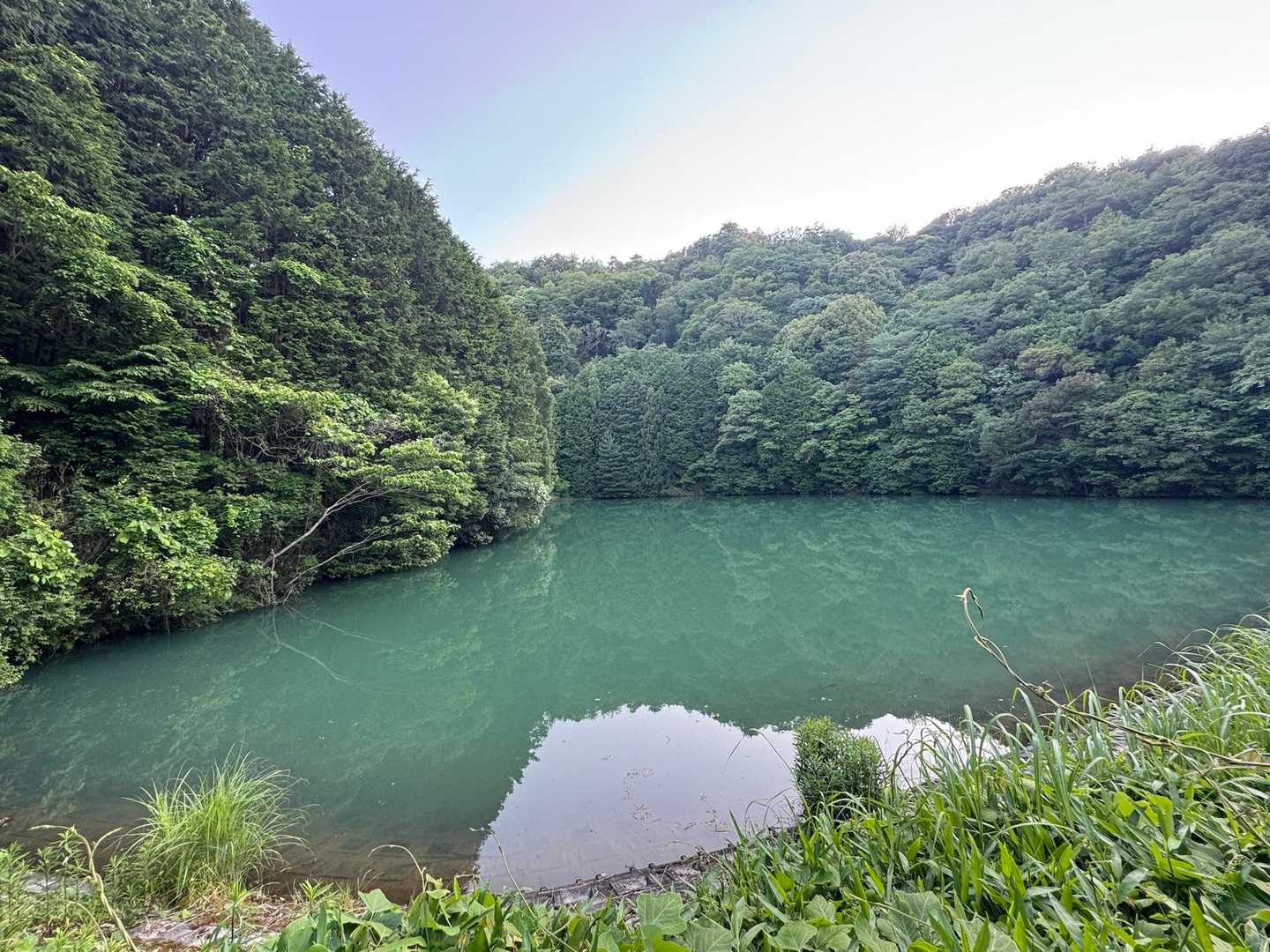 皿谷池