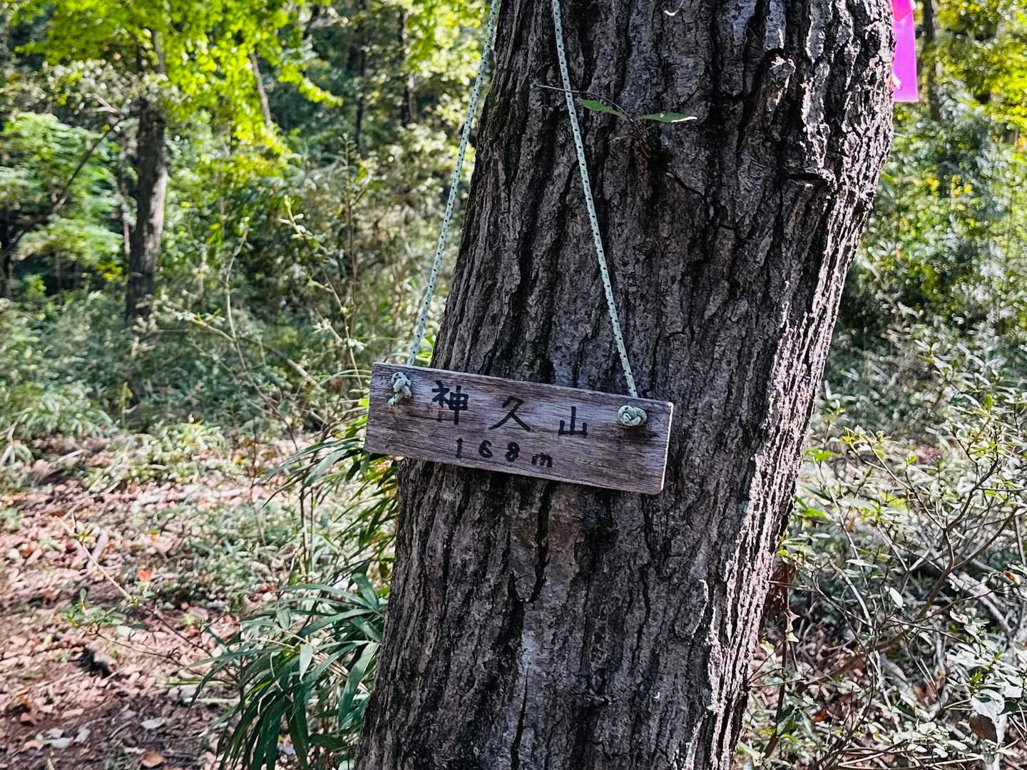 着いた！神久山(しんきゅうやま) 168m
𖧷⸜(* ॑꒳ˆ * )⋆*