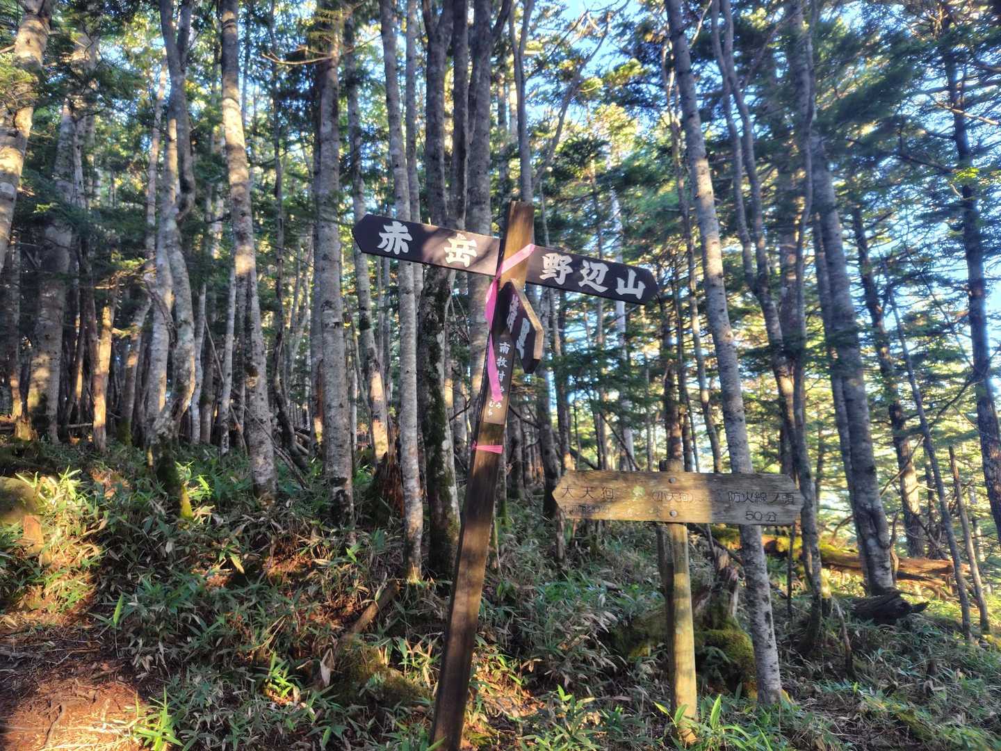 赤岳（県界登山口）の写真