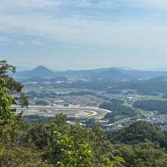 子鶏冠山頂上
限定的ながら眺望あり。
眼下にJRA 栗東トレーニングセンターが見えます。
その先には近江の低山が見えます。