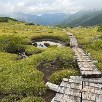 まさしく天上の楽園✨