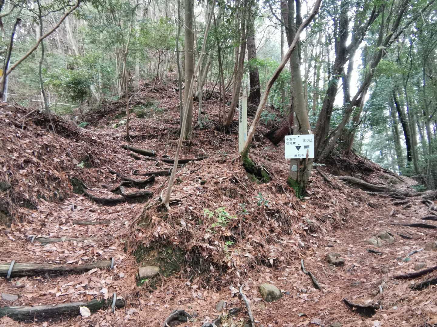 奥槇尾山へ分岐、どちらでも可
右に行きます🥾