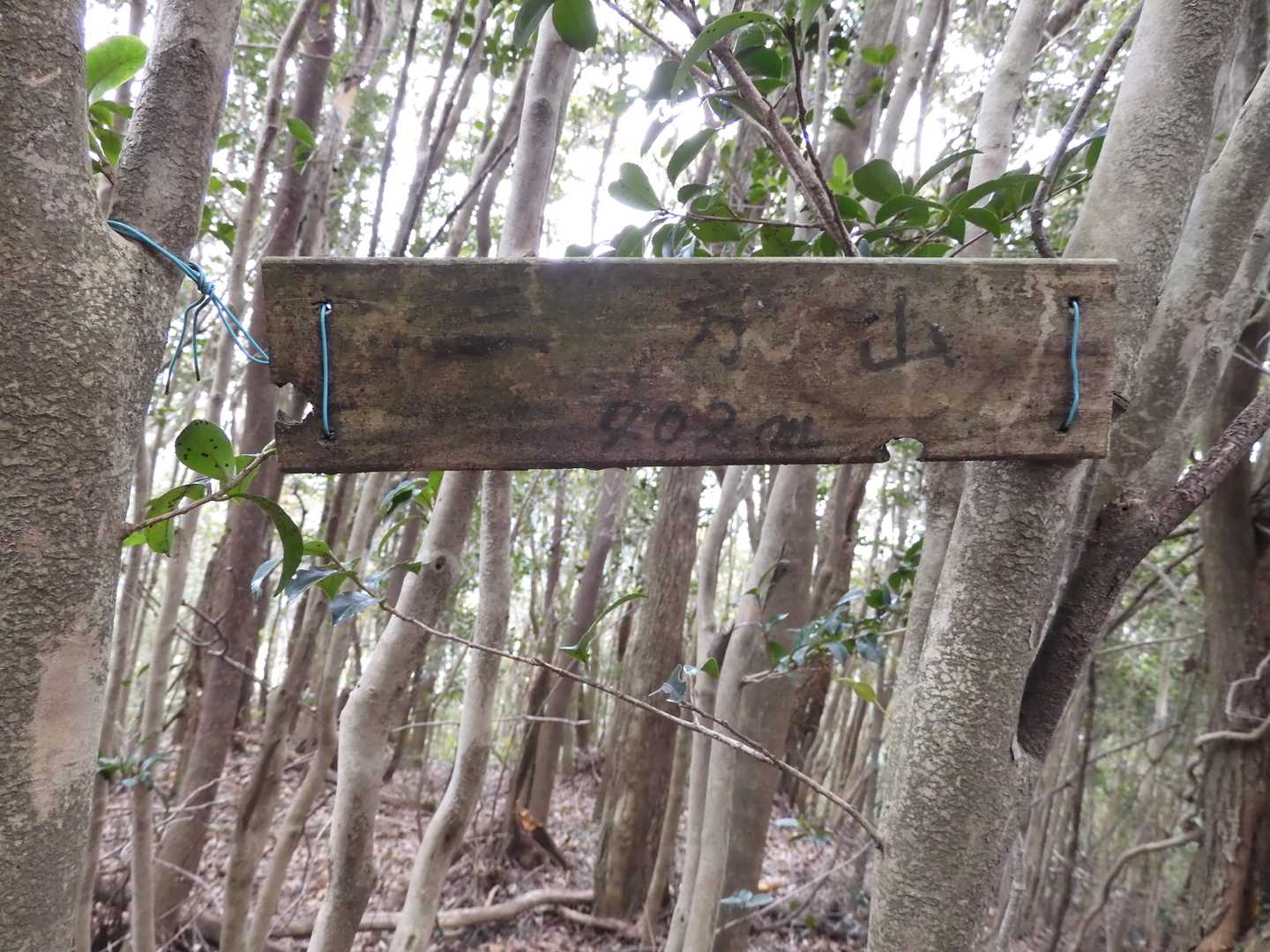 少しくたびれた山頂標識。過去にはもっと登られていたんでしょうね...