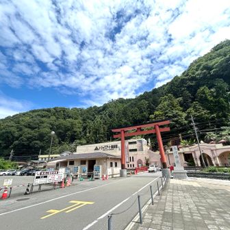 あ~~~駅前裏に山が有ったなぁ

アレが初沢山かぁ🧐最後によるな😉