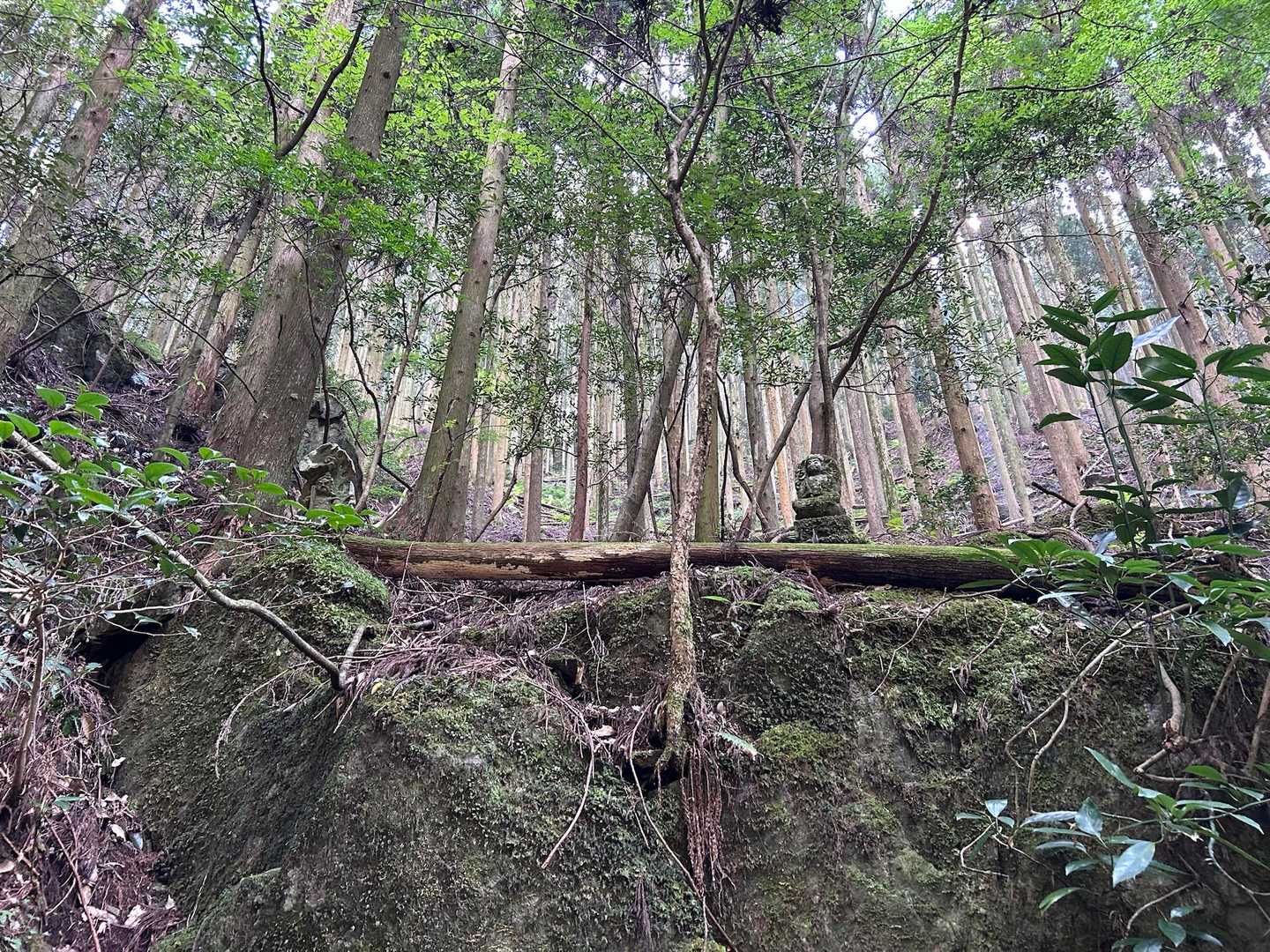 登り気づかなかったが
仏様があちこちに
🙏