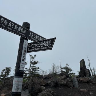 北横岳南峰→北峰

こんなに人のいない北横はじめて笑