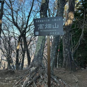 高畑山山頂