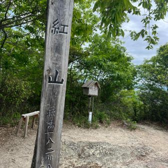 紅山山頂