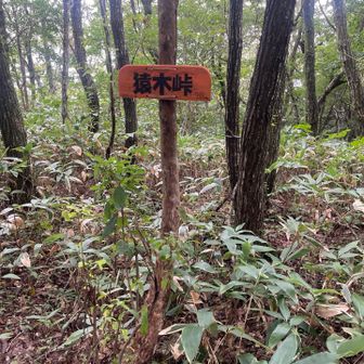 峠着、臥龍山との分岐