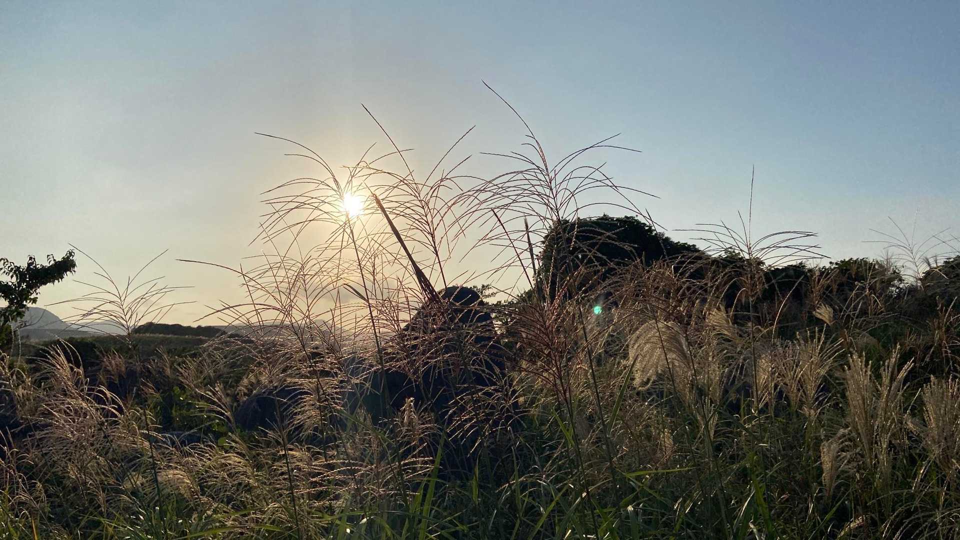 中峠-岩山 往復コースの写真