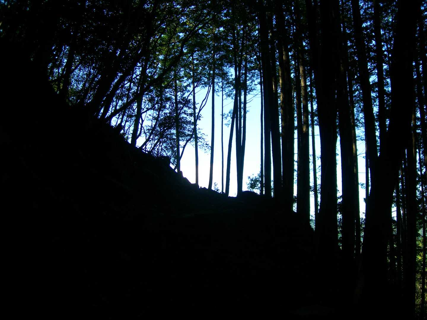 赤目里地里山コース-竜神山 往復コースの写真