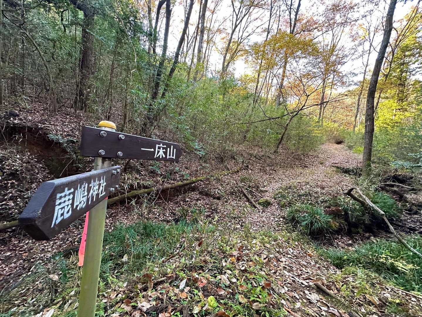 一床山方面へ🫱
沢を飛び越えて進みます‼️