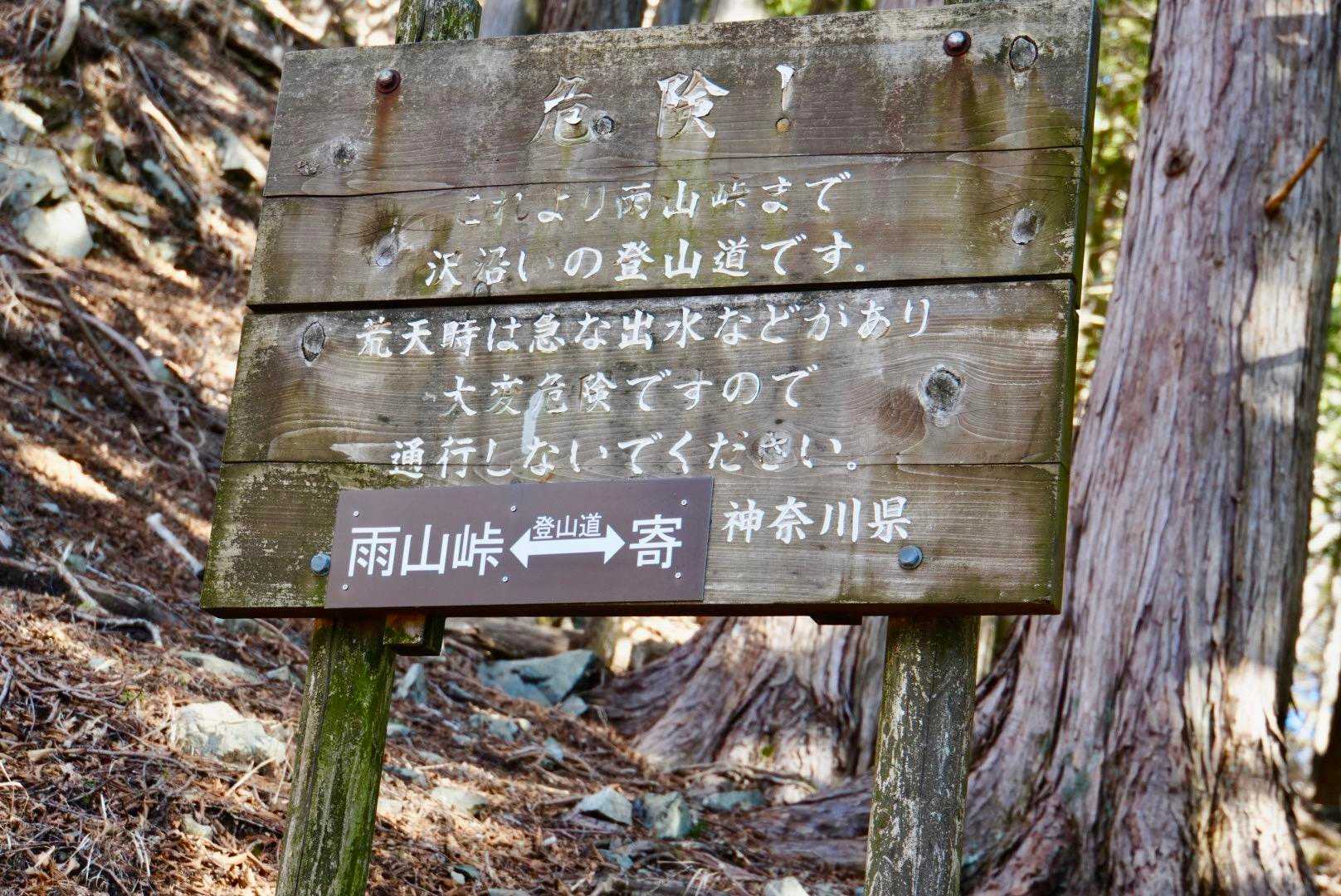 "沢沿い"の登山道